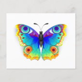 Rainbow Butterfly Peacock Eye Flyer (Vorne)