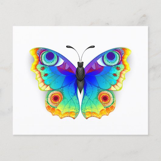 Rainbow Butterfly Peacock Eye Flyer (Vorne)