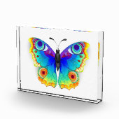 Rainbow Butterfly Peacock Eye Fotoblock (Rechts)