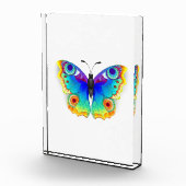 Rainbow Butterfly Peacock Eye Fotoblock (Rechts)