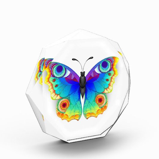 Rainbow Butterfly Peacock Eye Fotoblock (Links)