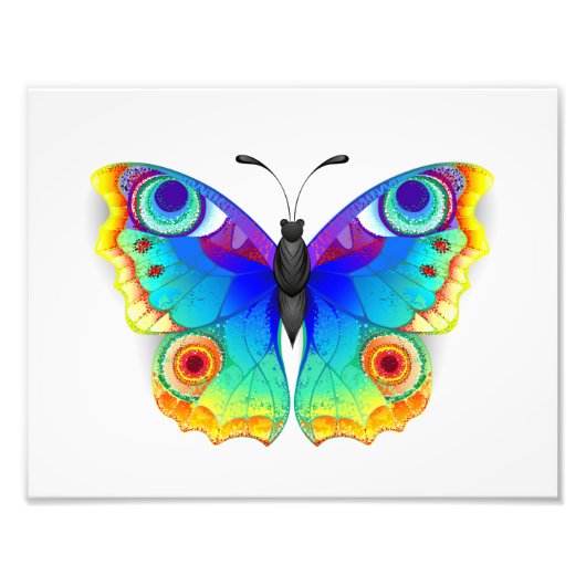Rainbow Butterfly Peacock Eye Fotodruck (Vorne)