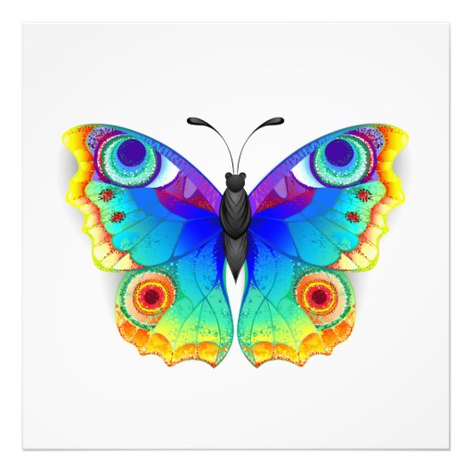 Rainbow Butterfly Peacock Eye Fotodruck (Vorne)