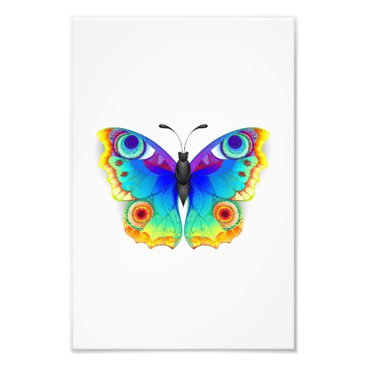 Rainbow Butterfly Peacock Eye Fotodruck (Vorne)