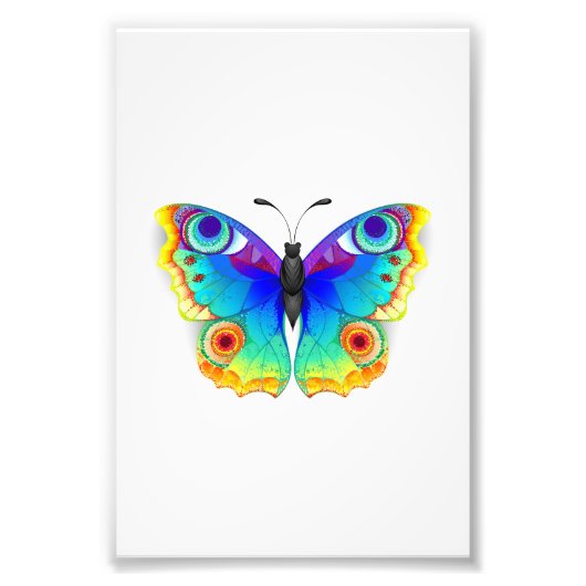 Rainbow Butterfly Peacock Eye Fotodruck (Vorne)
