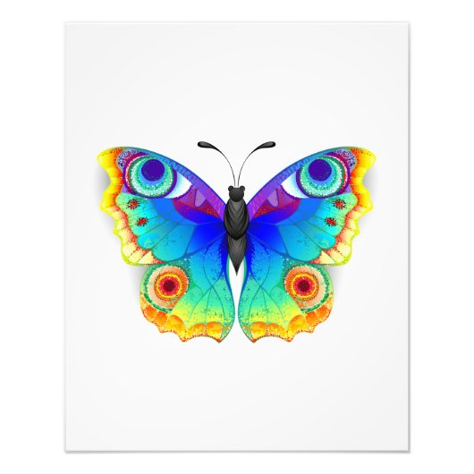 Rainbow Butterfly Peacock Eye Fotodruck (Vorne)