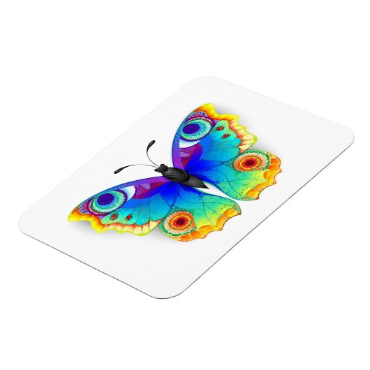 Rainbow Butterfly Peacock Eye Magnet (Linke Seite)