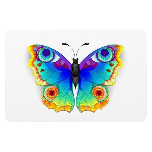 Rainbow Butterfly Peacock Eye Magnet (Horizontal)