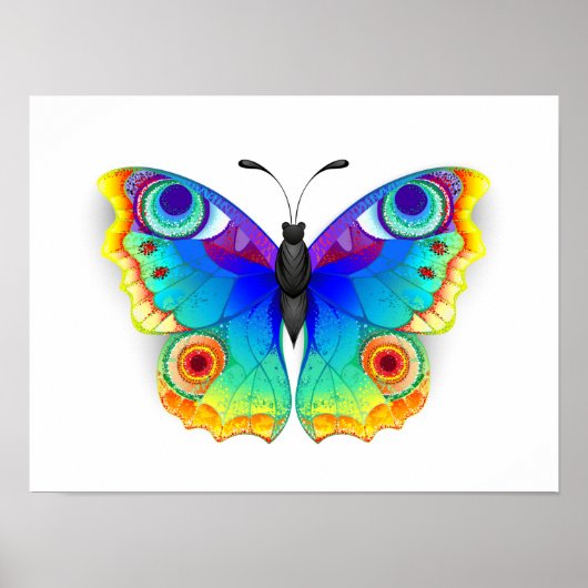Rainbow Butterfly Peacock Eye Poster (Vorne)