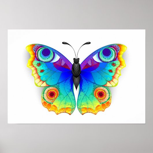 Rainbow Butterfly Peacock Eye Poster (Vorne)