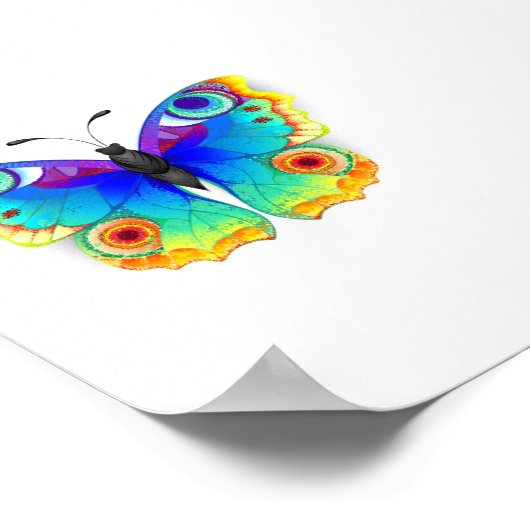 Rainbow Butterfly Peacock Eye Poster (Ecke)