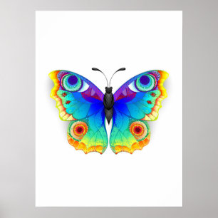Rainbow Butterfly Peacock Eye Poster
