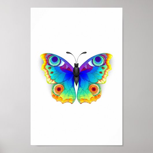 Rainbow Butterfly Peacock Eye Poster (Vorne)