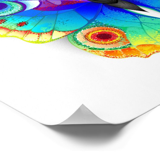 Rainbow Butterfly Peacock Eye Poster (Ecke)