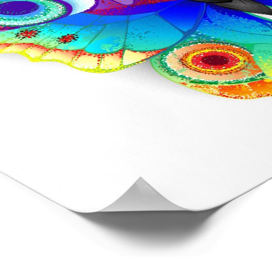 Rainbow Butterfly Peacock Eye Poster (Ecke)