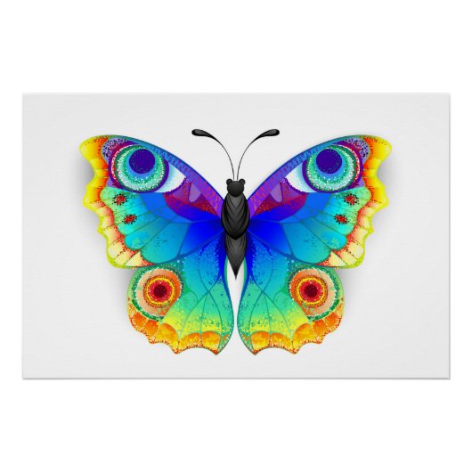 Rainbow Butterfly Peacock Eye Poster (Vorderseite)