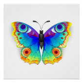 Rainbow Butterfly Peacock Eye Poster (Vorderseite)