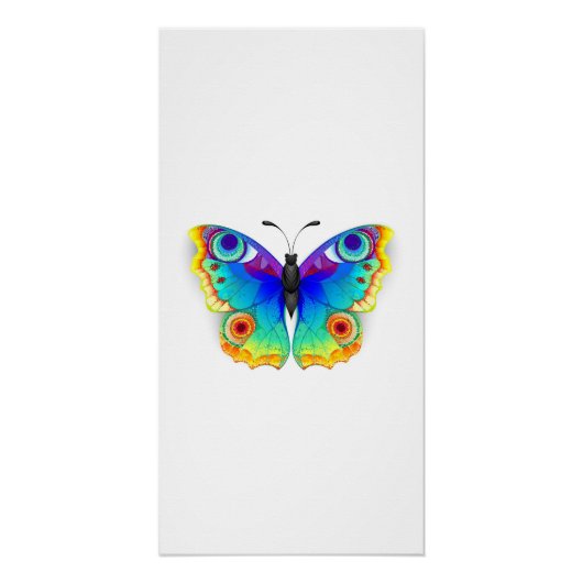 Rainbow Butterfly Peacock Eye Poster (Vorderseite)