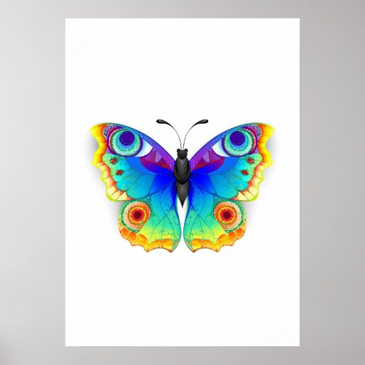 Rainbow Butterfly Peacock Eye Poster (Vorne)