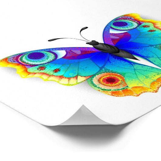 Rainbow Butterfly Peacock Eye Poster (Ecke)