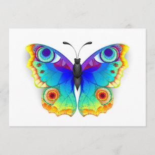 Rainbow Butterfly Peacock Eye Programm