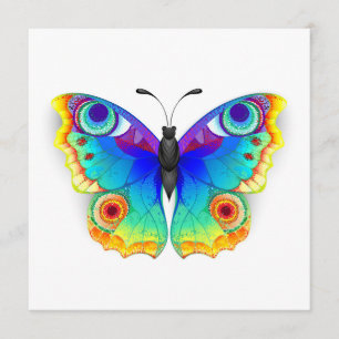 Rainbow Butterfly Peacock Eye Programm