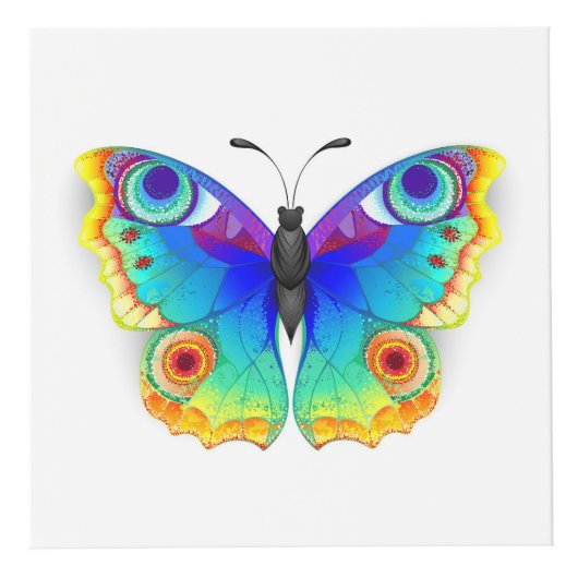 Rainbow Butterfly Peacock Eye Würfel (Rechts)