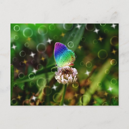 Rainbow Butterfly Postkarte (Vorderseite)