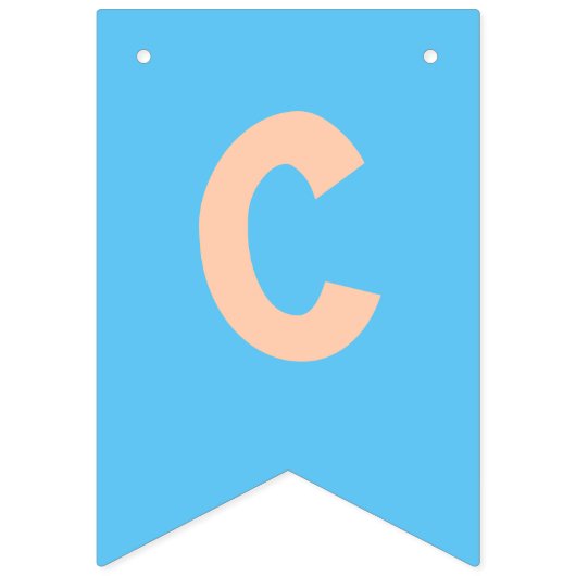 Rainbow Candy Buffet Sign Wimpelkette (Zweite Fahne)