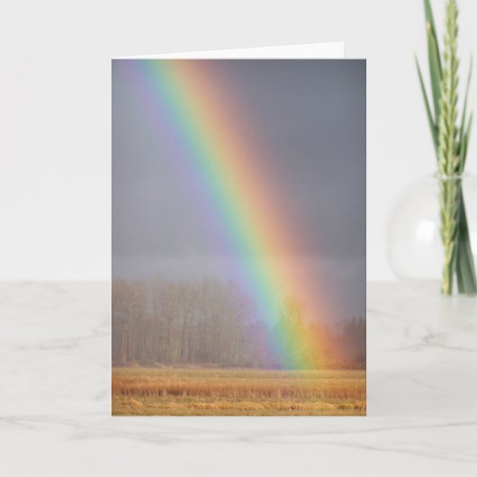 Rainbow Card 1 Karte (Vorderseite)