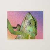 Rainbow Chameleon Puzzle (Horizontal)