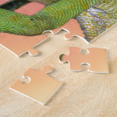Rainbow Chameleon Puzzle (Seite)