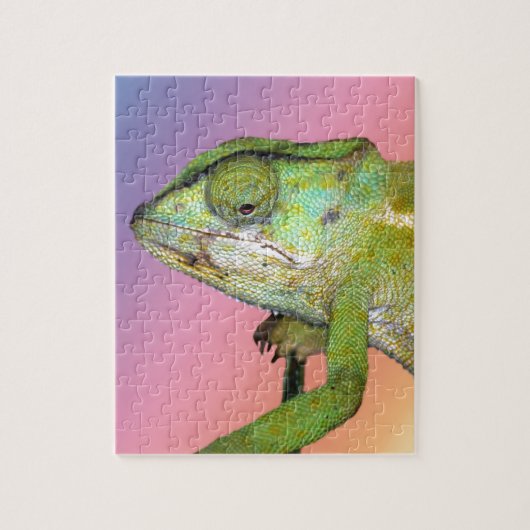 Rainbow Chameleon Puzzle (Vertikal)