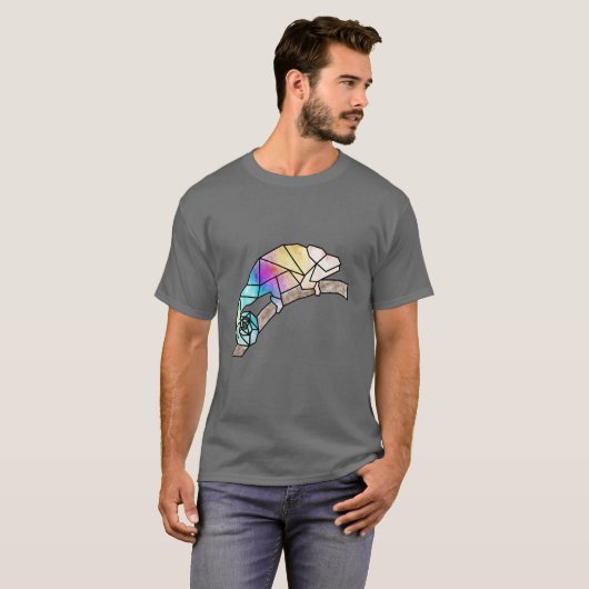 Rainbow Chameleon T-Shirt (Vorne ganz)