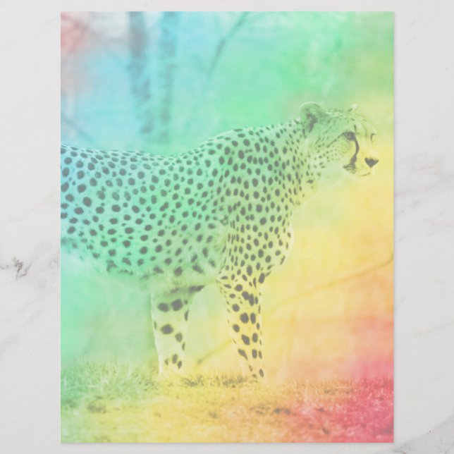 Rainbow Cheetah (Vorderseite)