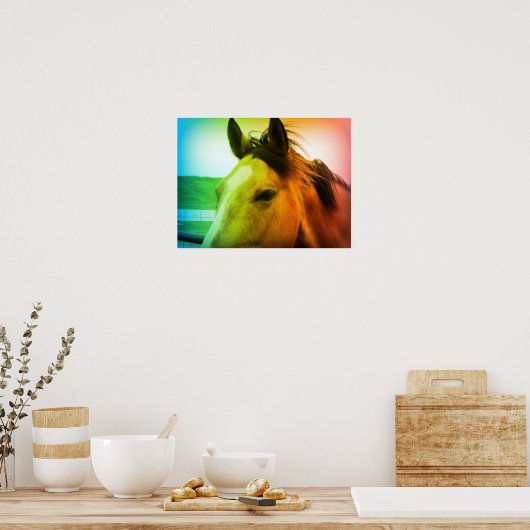 Rainbow Coloed Buckskin Poster (Küche)