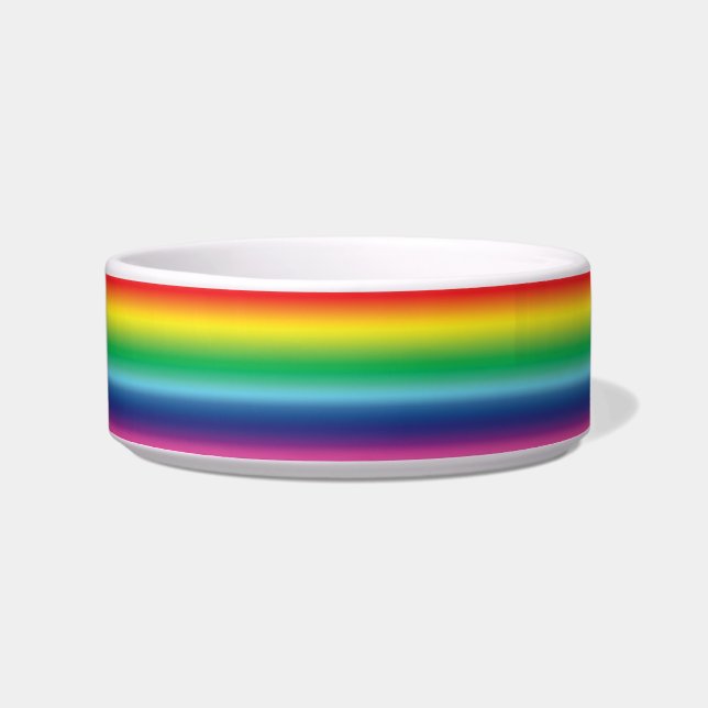 Rainbow color Stolz lgbtq Gay Flag Keramik Napf (Vorderseite)