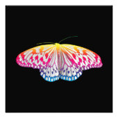 Rainbow-Colored Butterfly Fotodruck (Vorne)
