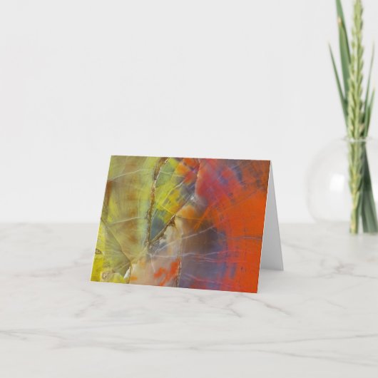 Rainbow Colored Petrified Wood (Vorderseite)