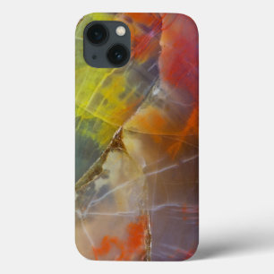 Rainbow Colored Petrified Wood Case-Mate iPhone Hülle