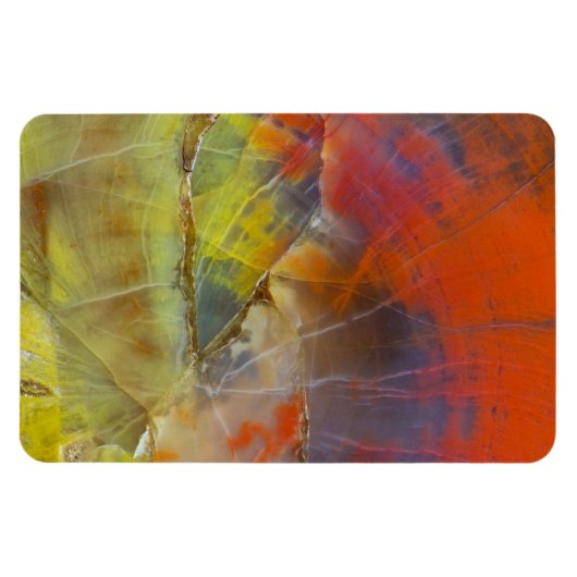 Rainbow Colored Petrified Wood Magnet (Horizontal)