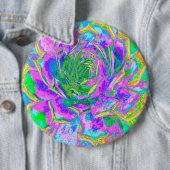 Rainbow Colors Fiesta Succulent Sedum Rosette Button (Beispiel)