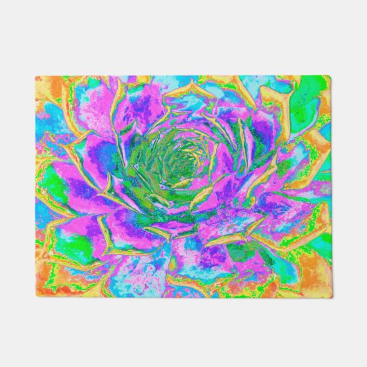 Rainbow Colors Fiesta Succulent Sedum Rosette Fußmatte (Vorderseite)