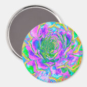 Rainbow Colors Fiesta Succulent Sedum Rosette Magnet (Vorderseite/Rückseite)
