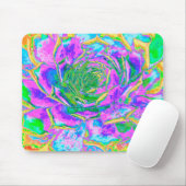 Rainbow Colors Fiesta Succulent Sedum Rosette Mousepad (Mit Mouse)