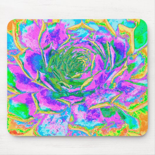 Rainbow Colors Fiesta Succulent Sedum Rosette Mousepad (Vorne)