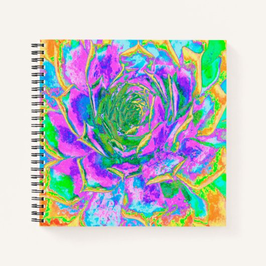Rainbow Colors Fiesta Succulent Sedum Rosette Notizblock (Vorderseite)