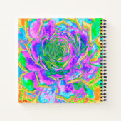 Rainbow Colors Fiesta Succulent Sedum Rosette Notizblock (Rückseite)