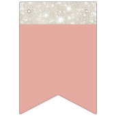 Rainbow Colors Glitzer Birthday Wimpelkette (Erste Fahne)