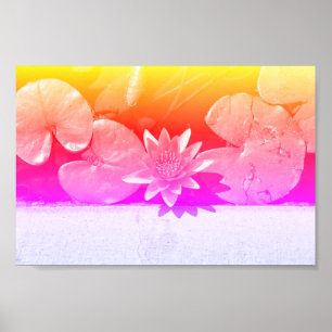 Rainbow Colors Water Lily Blume Pflanze Poster
